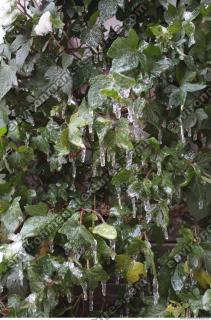 Photo Texture of Icicles 0001